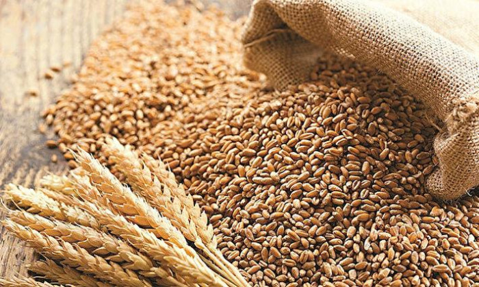 Buğday fiyatları rekor kırdı
